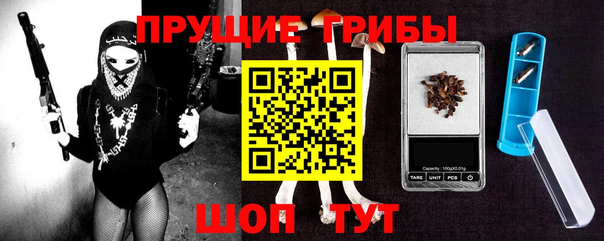 Галлюциногенные грибы Psilocybe Новоалександровск