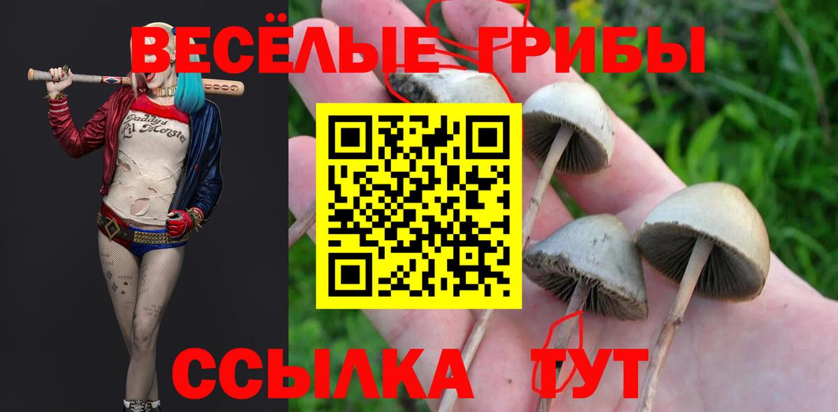 Псилоцибиновые грибы Magic Shrooms  Галлюциногенные грибы MAGIC MUSHROOMS  Вход с VPN  Новоалександровск 