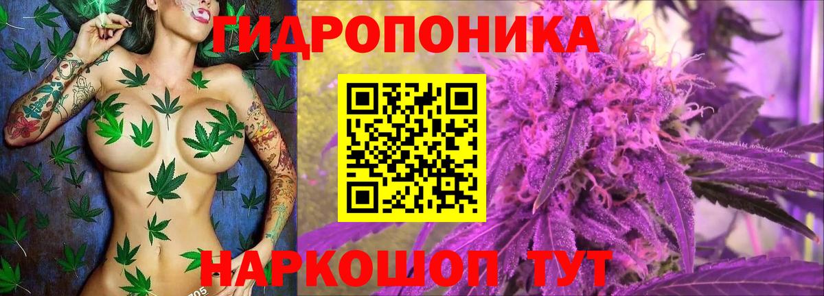 Бошки Шишки тримм  Бошки марихуана планчик  Вход с VPN  Новоалександровск  Бошки марихуана LSD WEED 